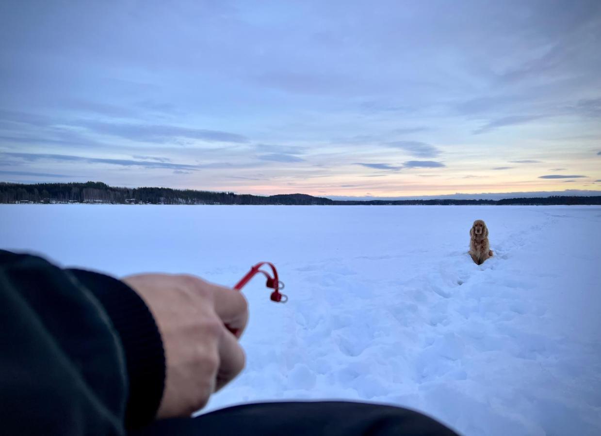 Vaelituvan Lomamoekit Punkaharju Bagian luar foto