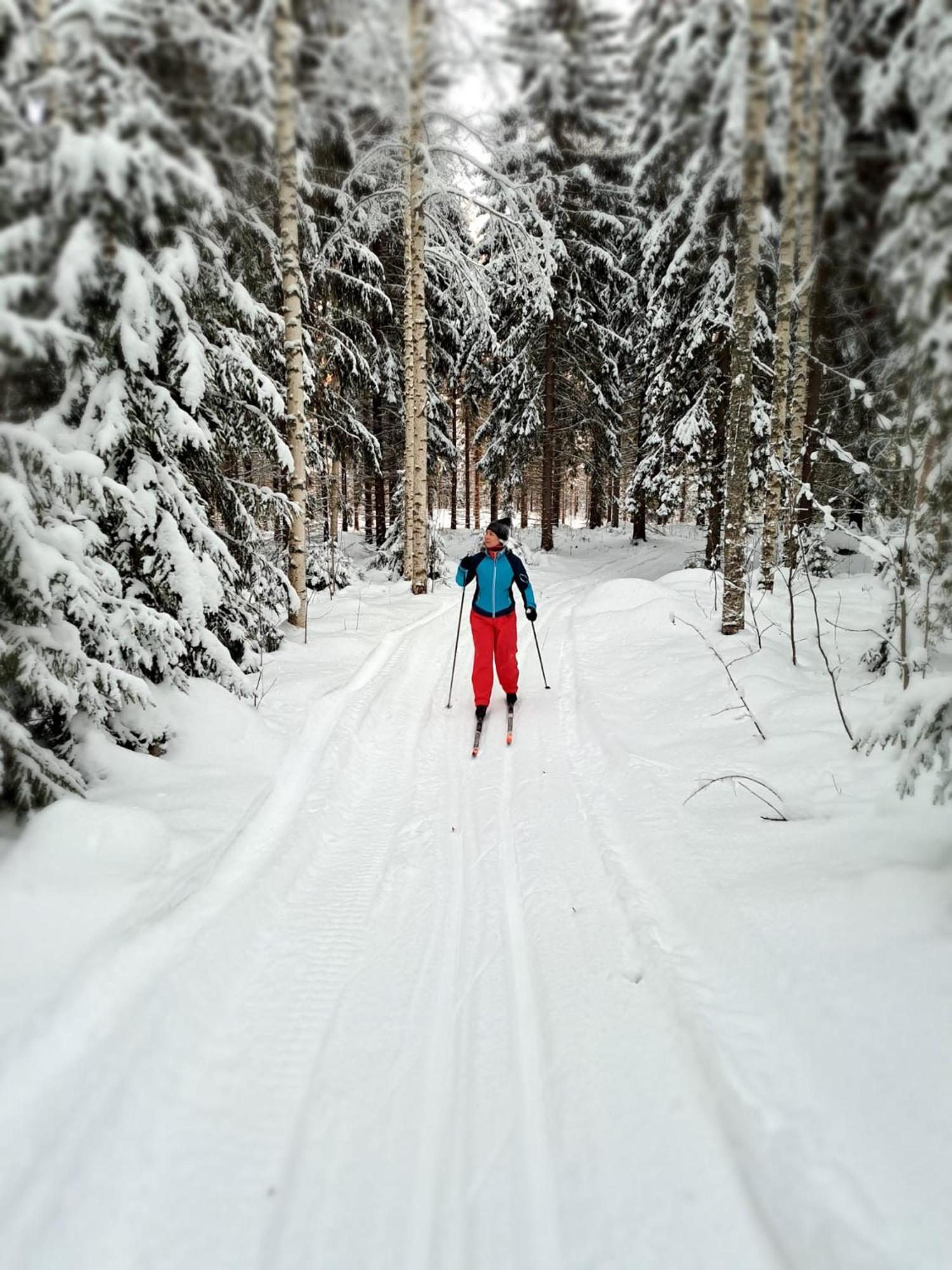 Vaelituvan Lomamoekit Punkaharju Bagian luar foto